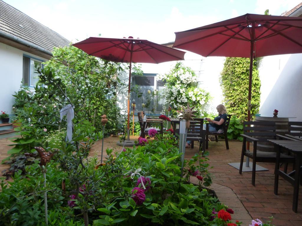 Stieglerhof Kg -Apartments Illmitz- Екстериор снимка