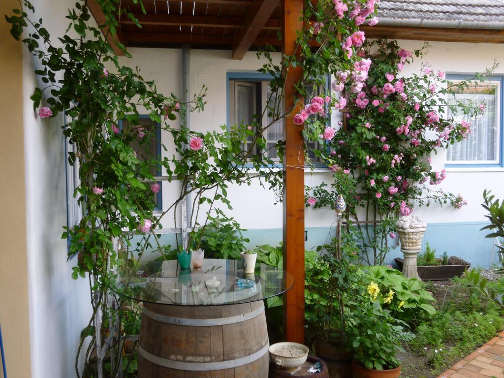 Stieglerhof Kg -Apartments Illmitz- Екстериор снимка