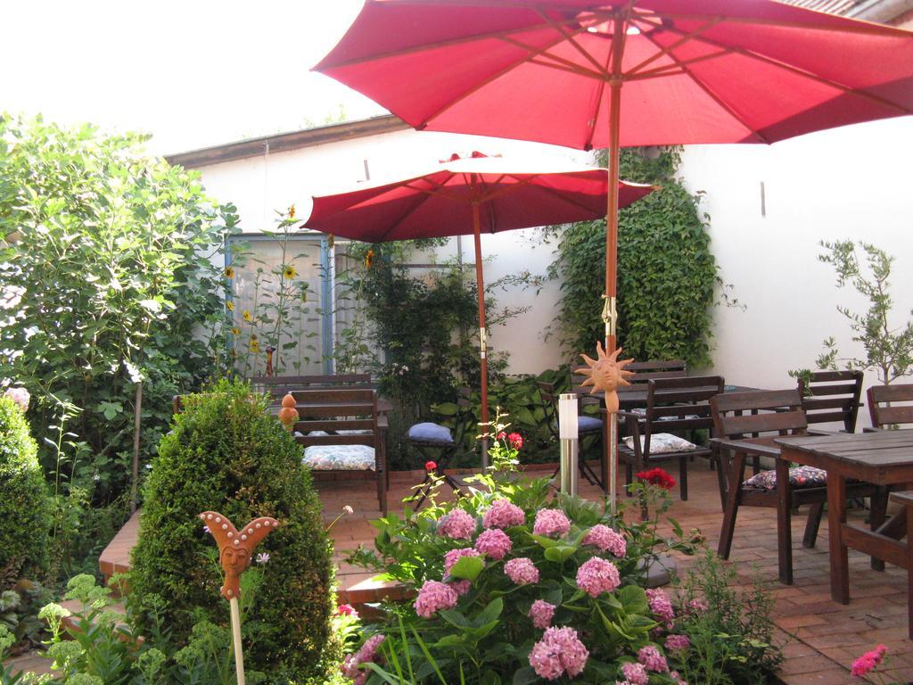 Stieglerhof Kg -Apartments Illmitz- Екстериор снимка